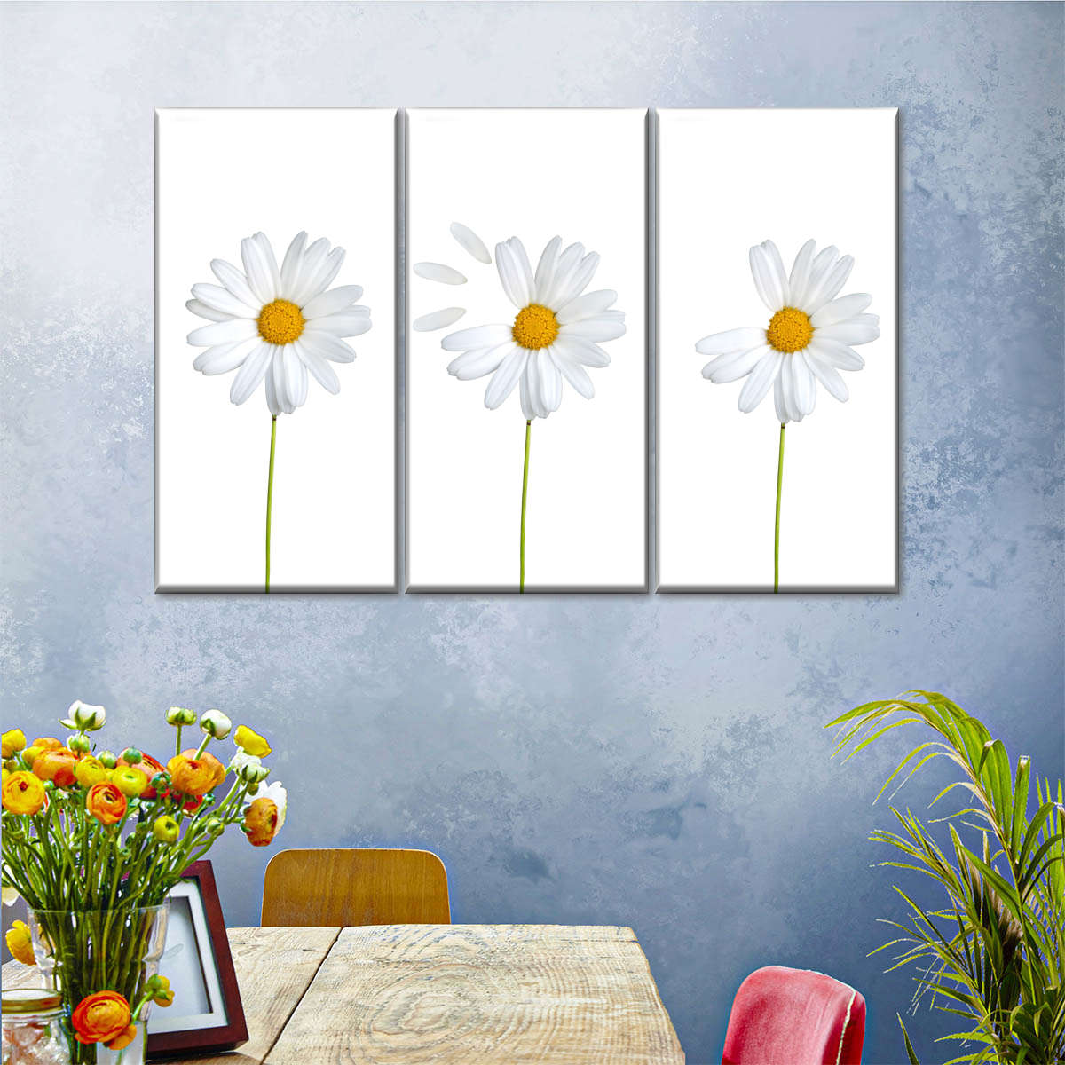 Plucked Daisies Wall Art