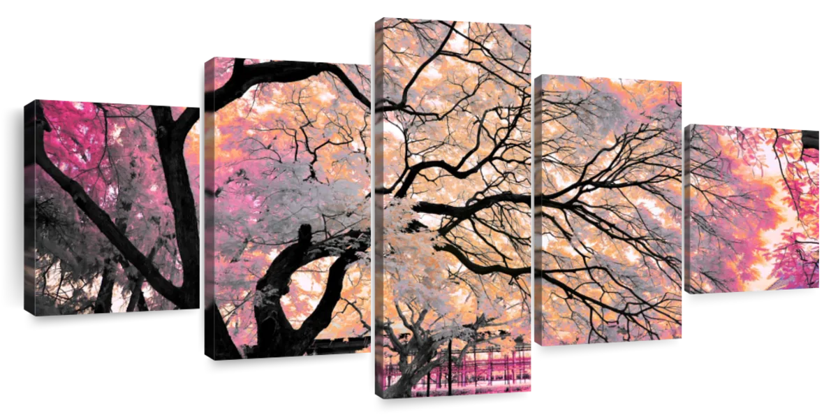 Pink Bloom Claw Trees Wall Art