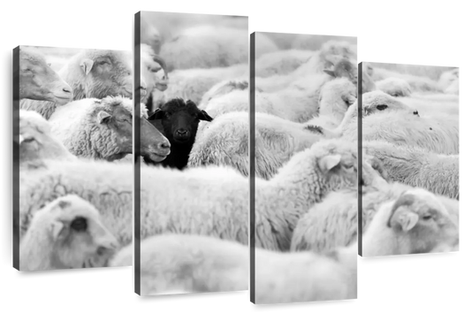 Distinct Black Sheep Wall Art