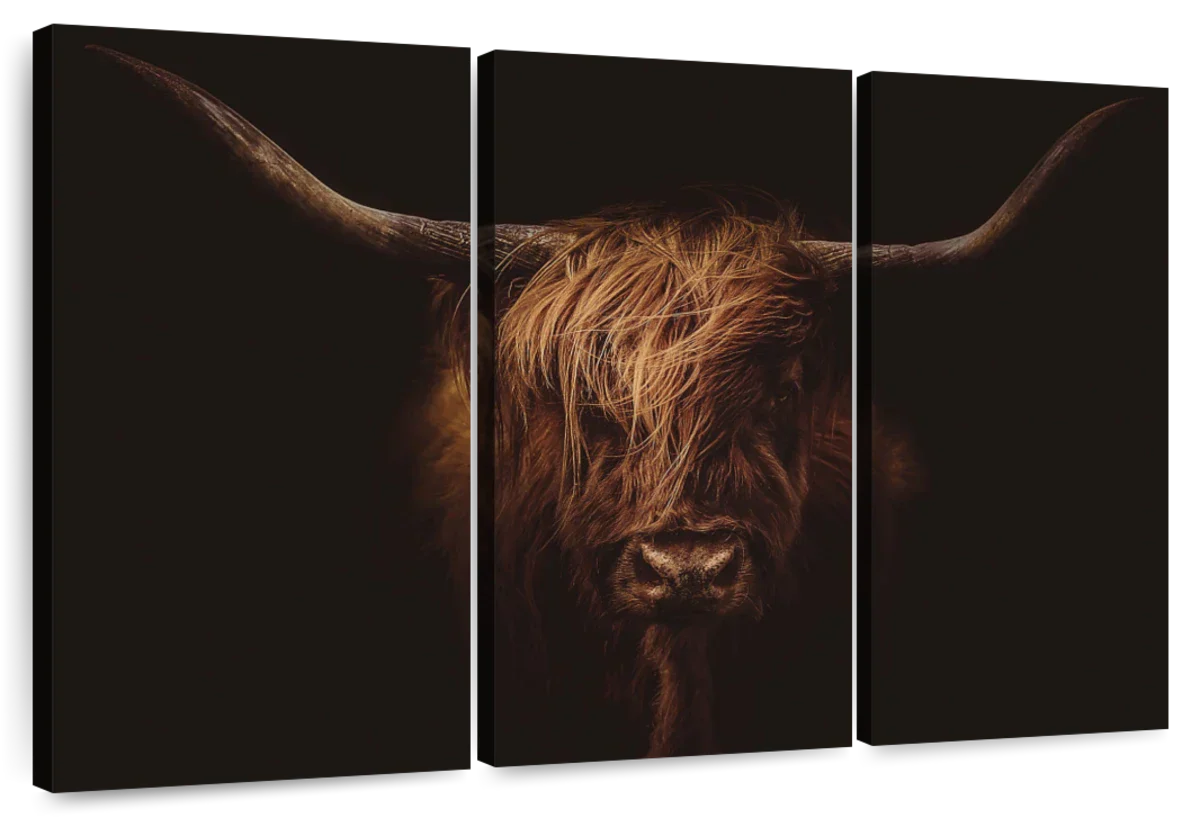 Handsome Highland Cow Wall Art