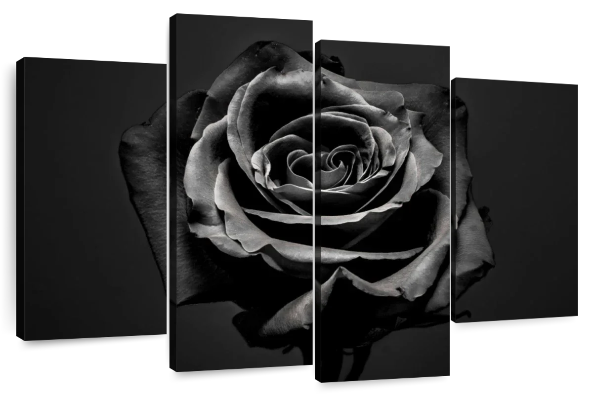 Black Rose Wall Art