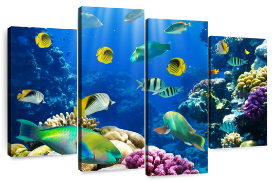 Underwater Sea Creatures Wall Art