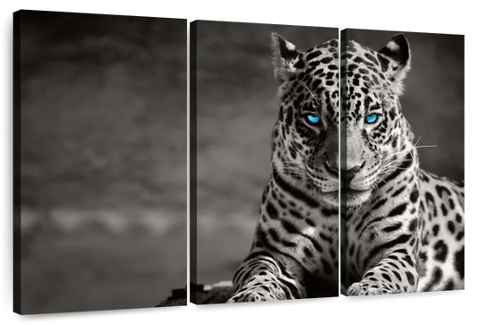 Jaguar Eyes Pop Wall Art