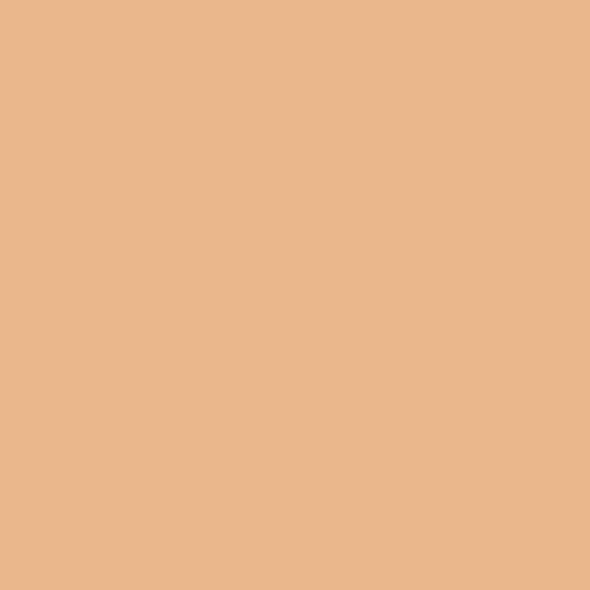 Light Orange Solid Wallpaper
