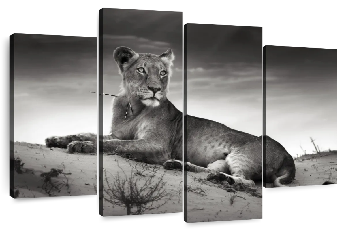 Lioness Wall Art