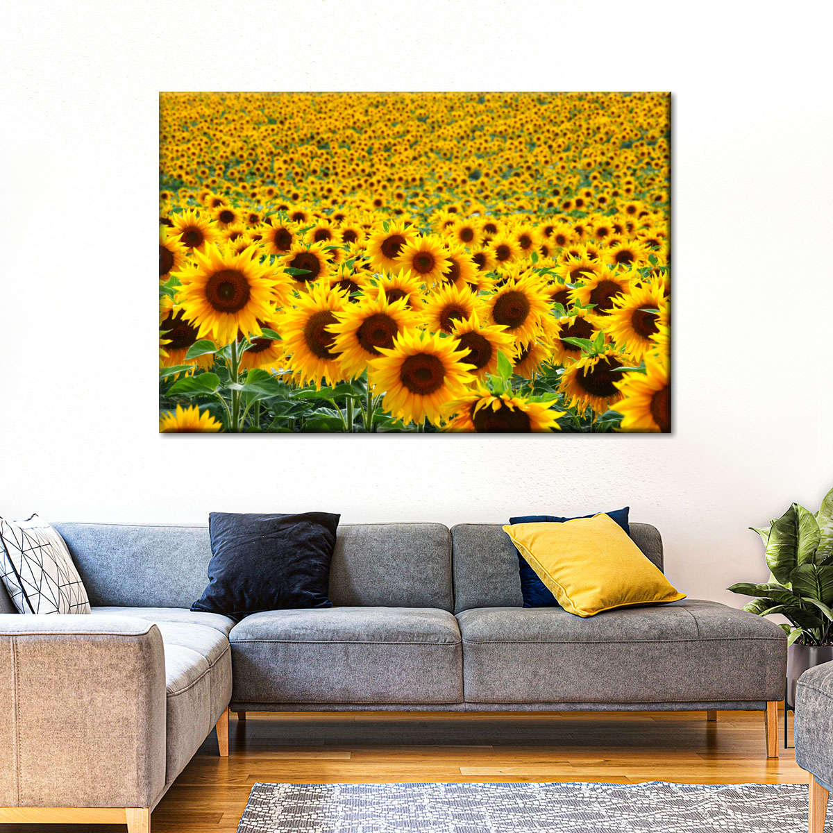 Endless Sunflower Field Wall Art