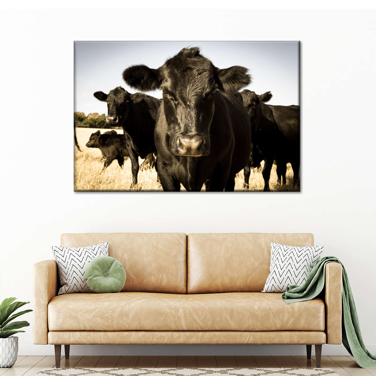 Black Angus Cattle Wall Art