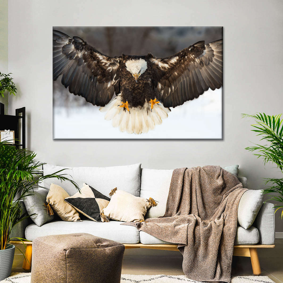 Bald Eagle Landing Wall Art