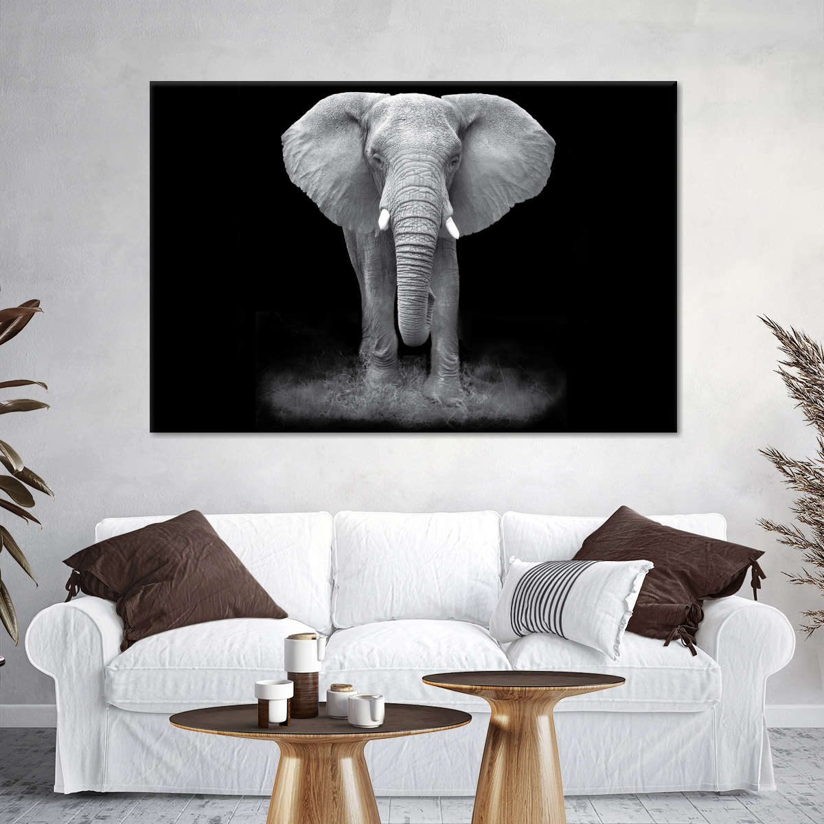 Elephant Zone Wall Art