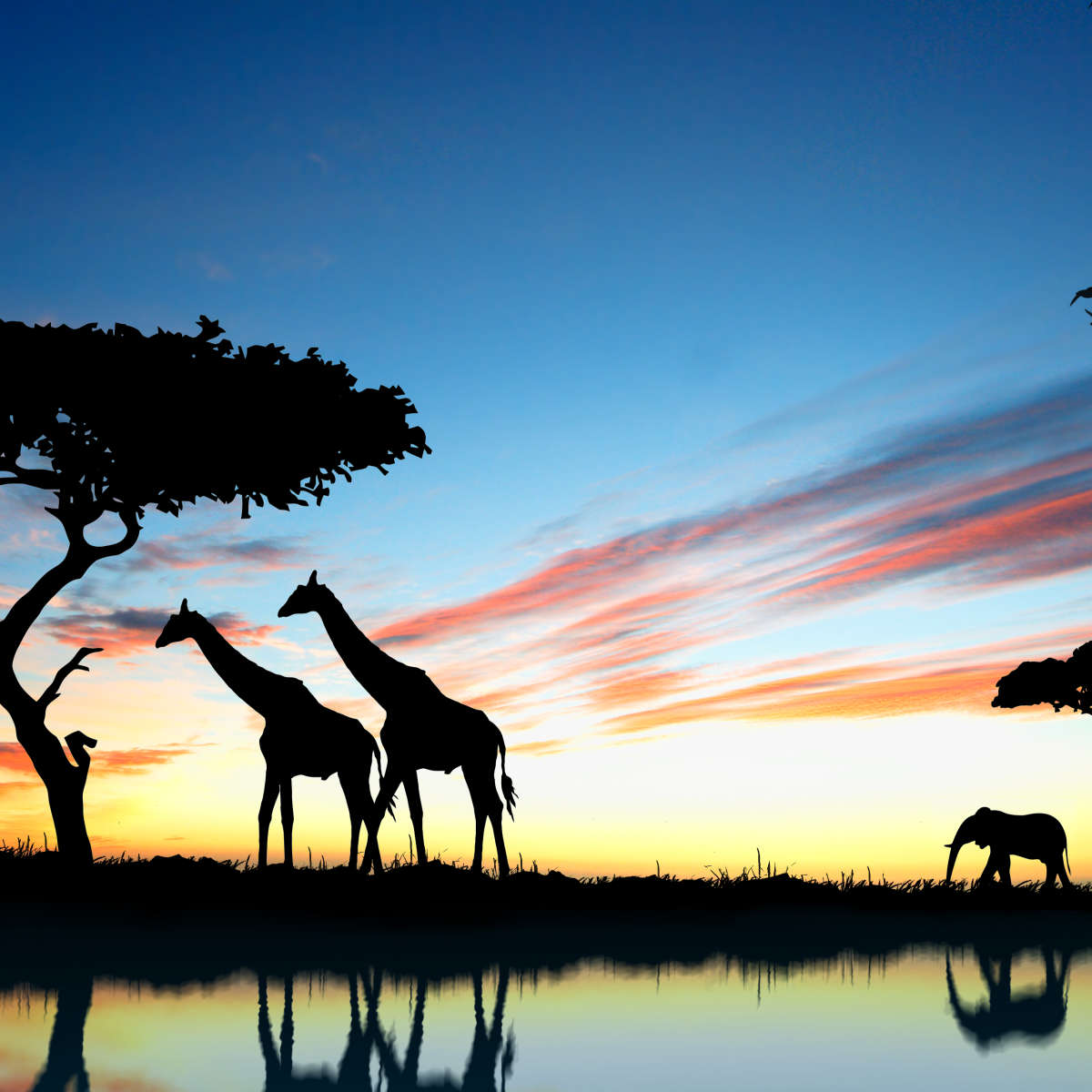 African Safari Wall Art
