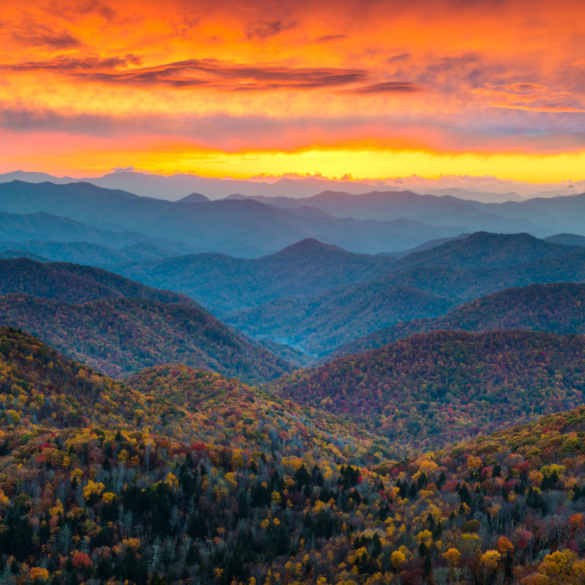 Blue Ridge Parkway Fall Wall Art