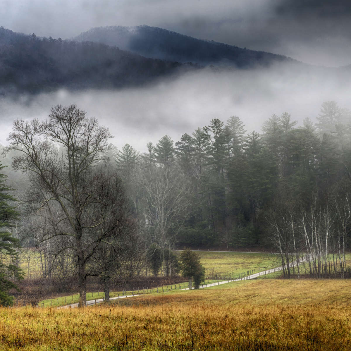 Cades Cove Fields Mist Wall Art