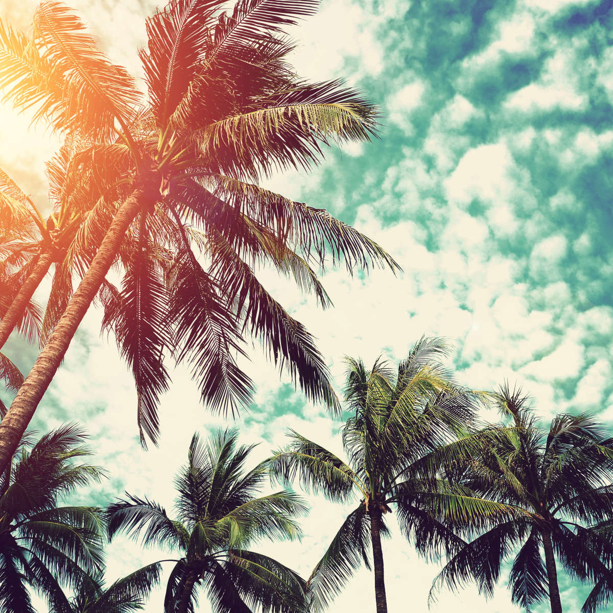 Vintage Style Palm Trees Wall Art