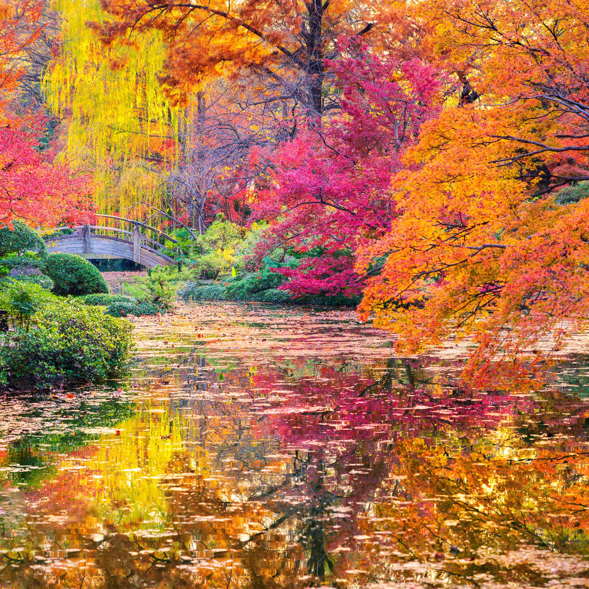 Colors Of Autumn Wall Art