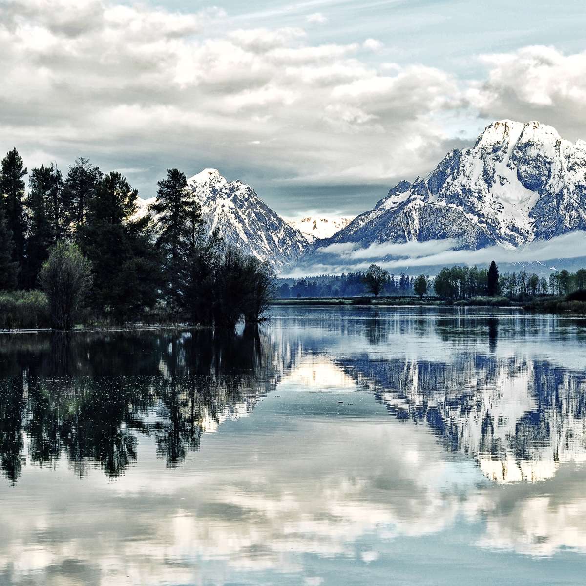 Jackson Hole Wall Art