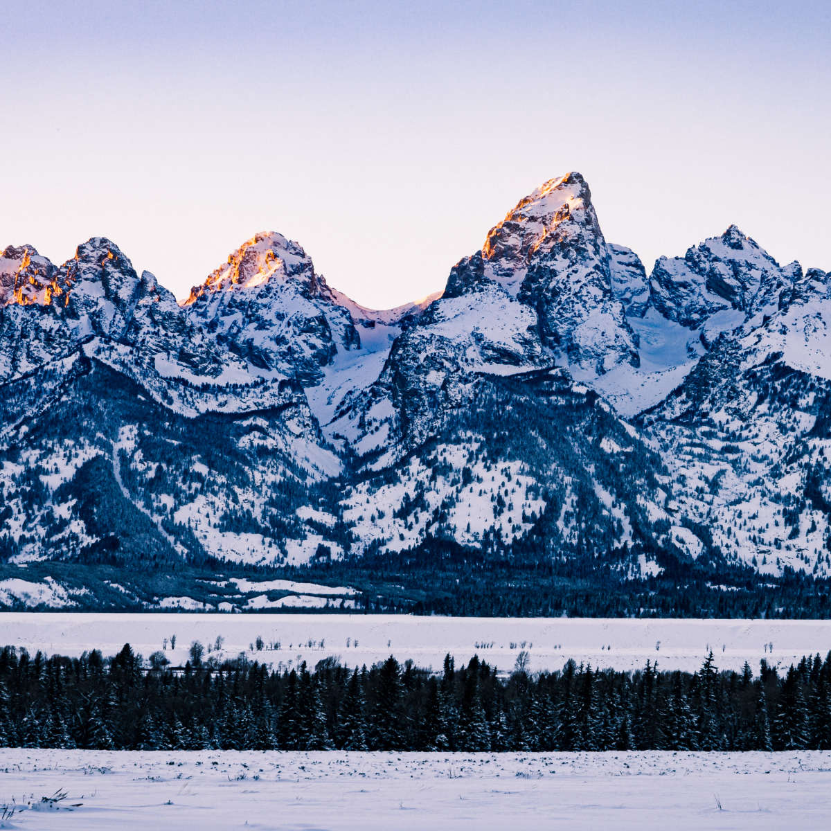 Jackson Hole Grand Teton Wall Art