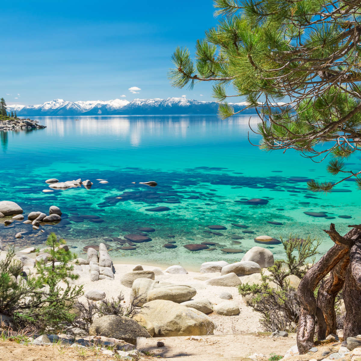 Turquoise Lake Tahoe Wall Art