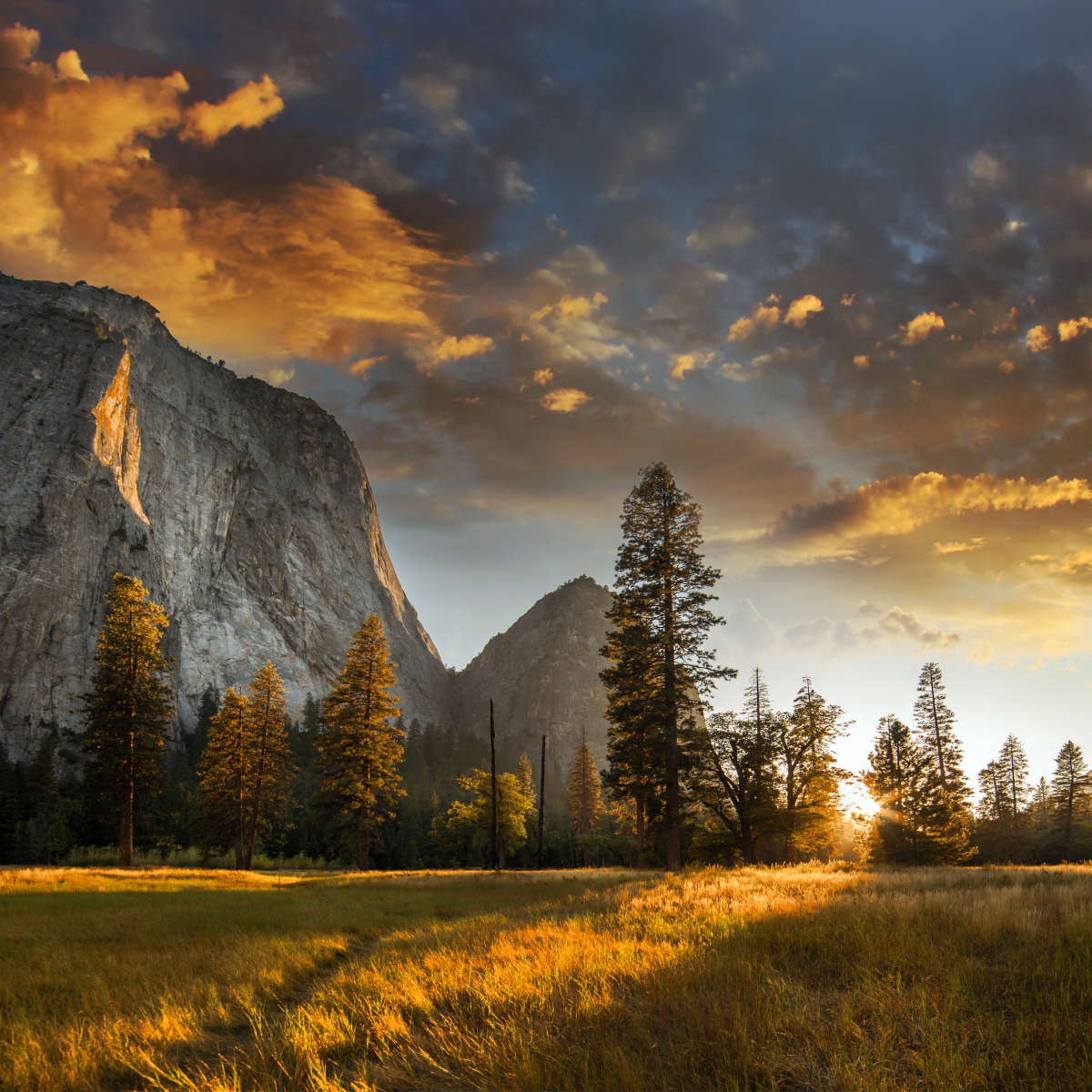Sierra Nevada Wall Art