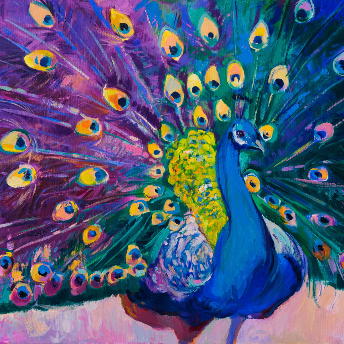 Dazzling Peacock Wall Art