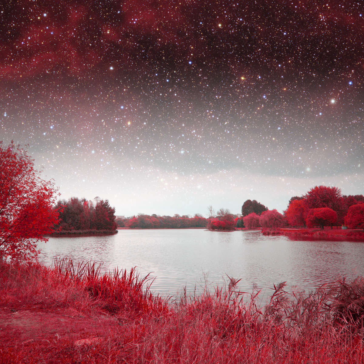 Red Mystical Spring Wall Art