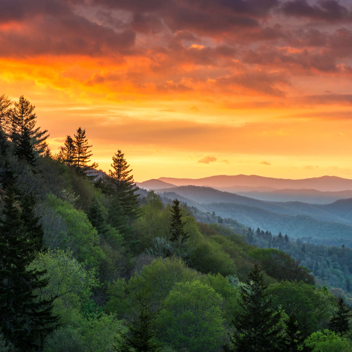 Mountain Sunrise Wall Art