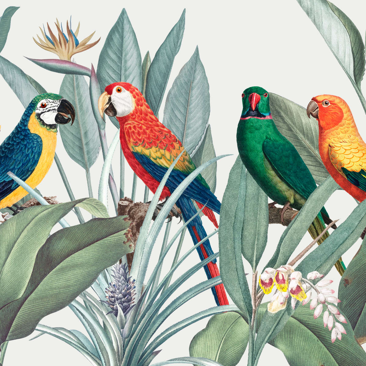 Tropical Safari Parrots Wall Art