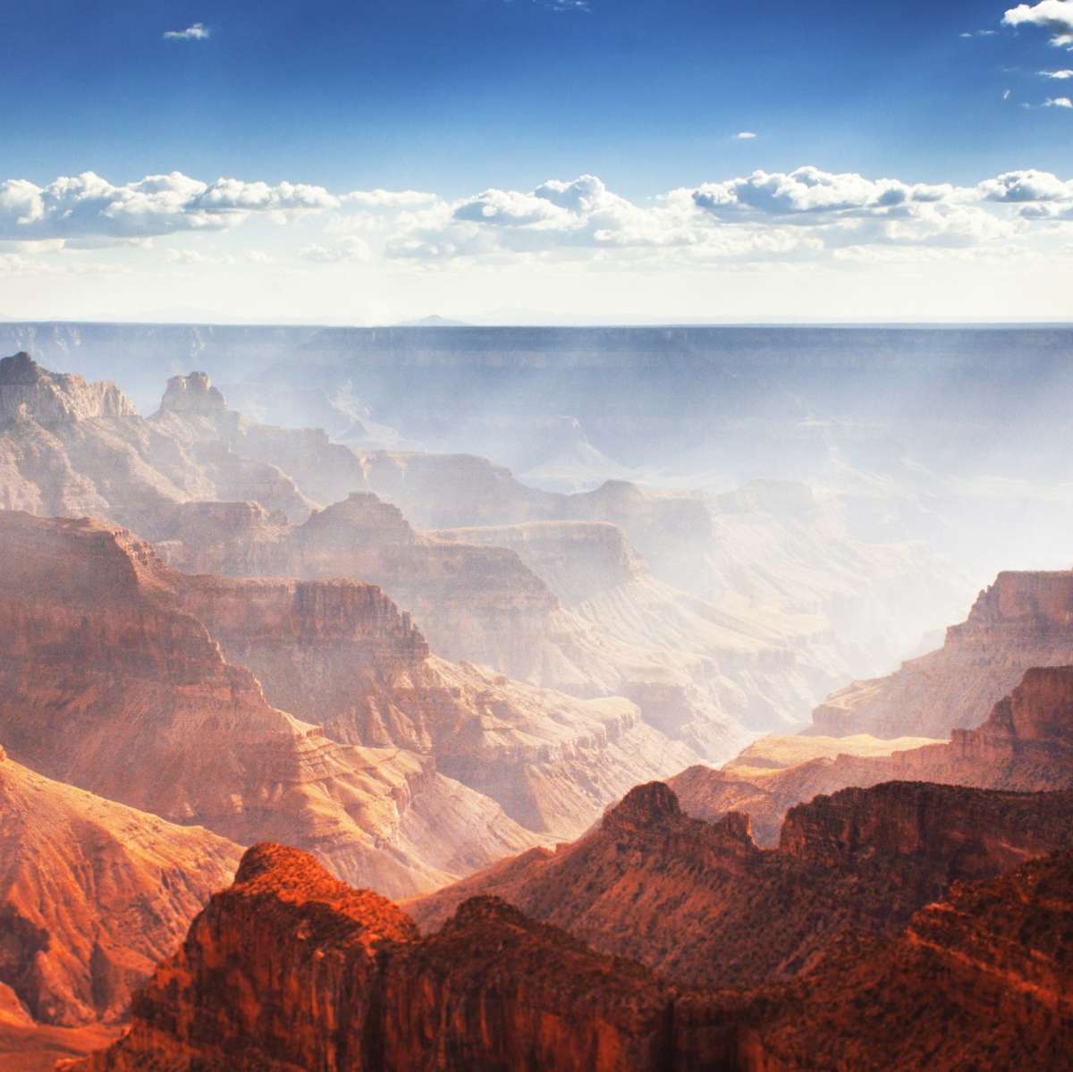 Grand Canyon Wall Art