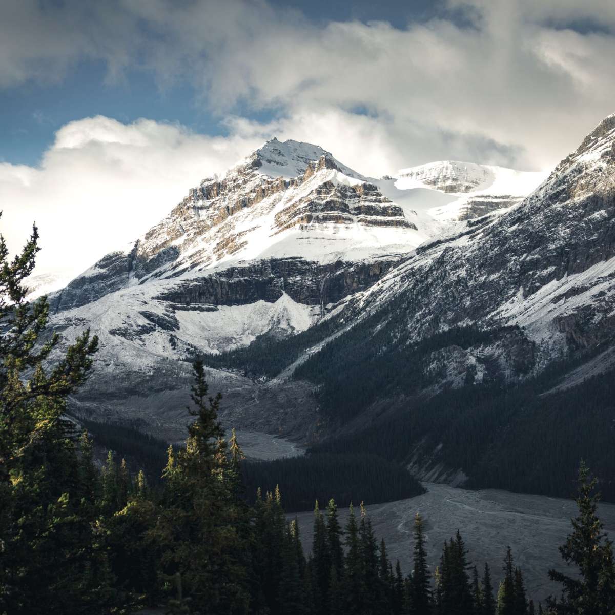 Mountain Top Wall Art