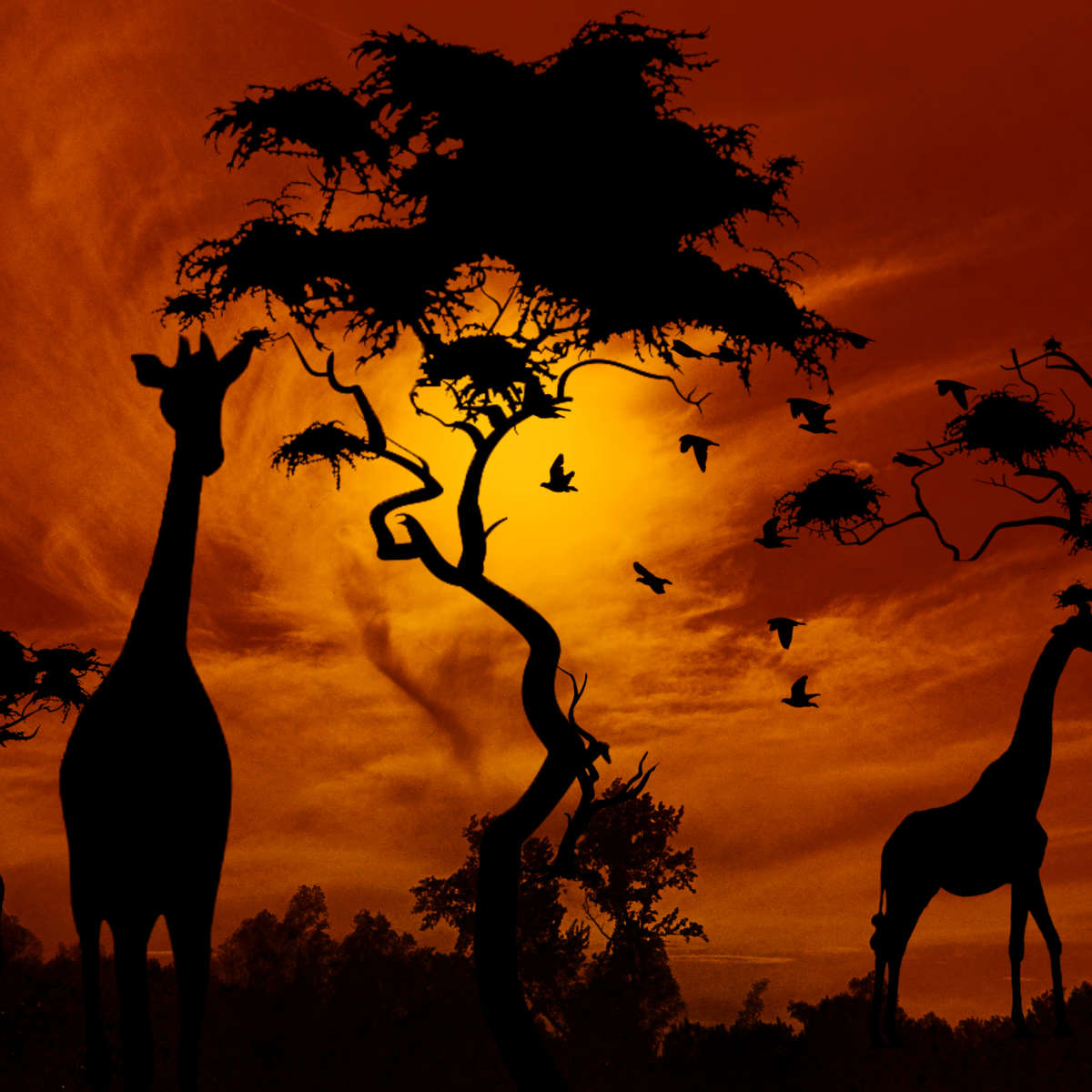 Silhouetted African Giraffes Wall Art