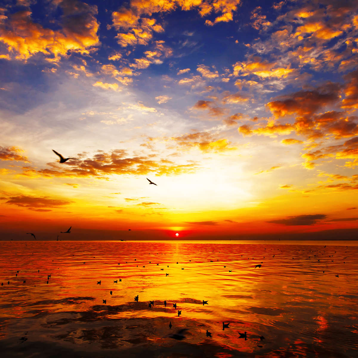 Sky Sunset Wall Art