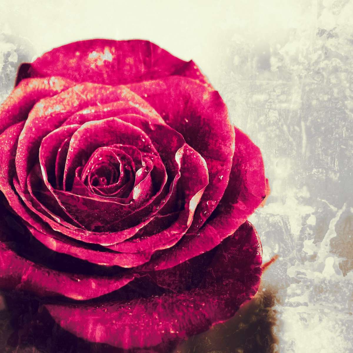 Textured Grunge Rose Wall Art