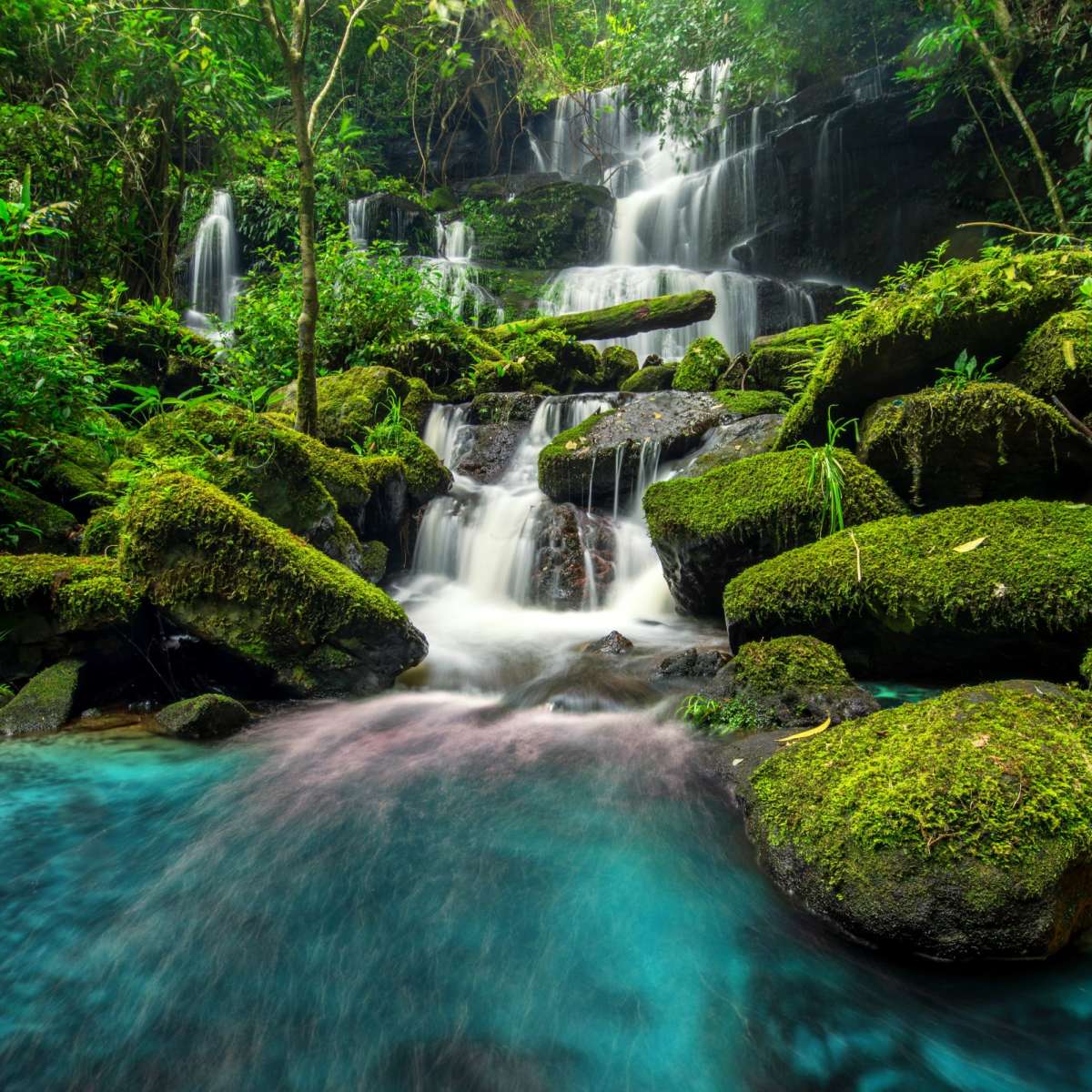 Tropical Waterfall Wall Art