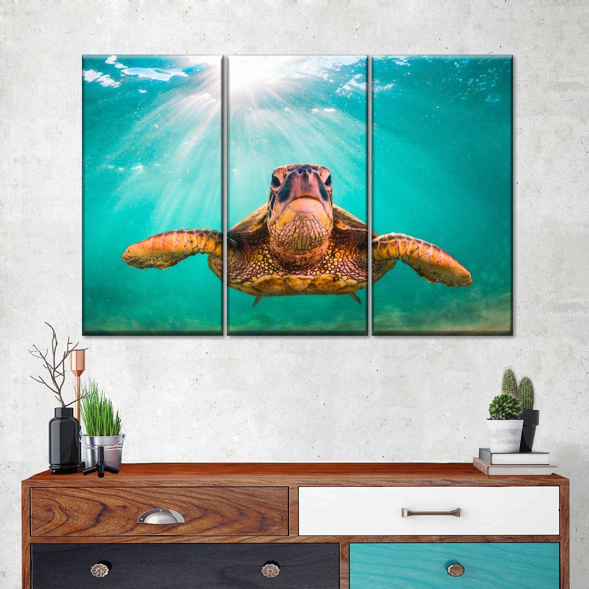 Maui Green Turtle Wall Art