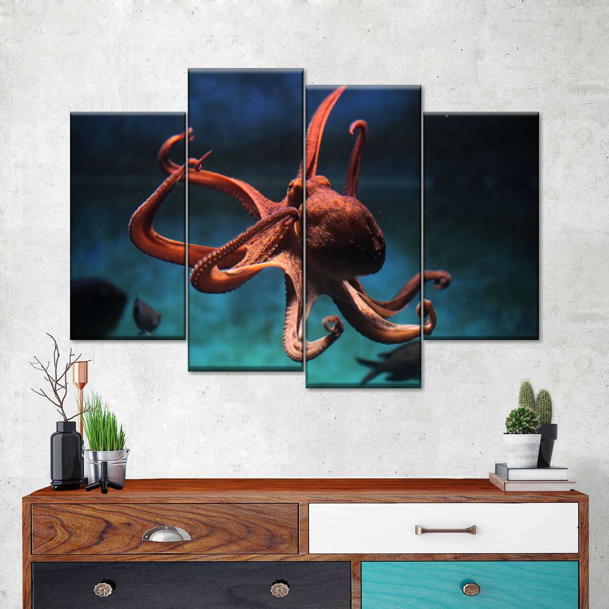 Octopus Vulgaris Wall Art