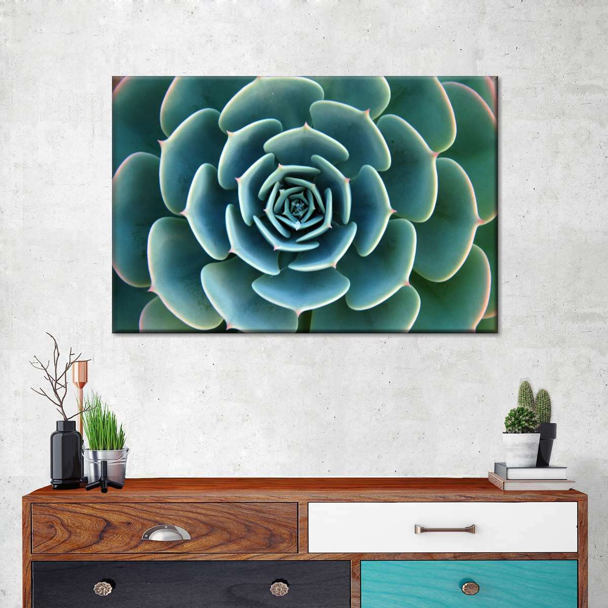 Live Succulent Wall Art