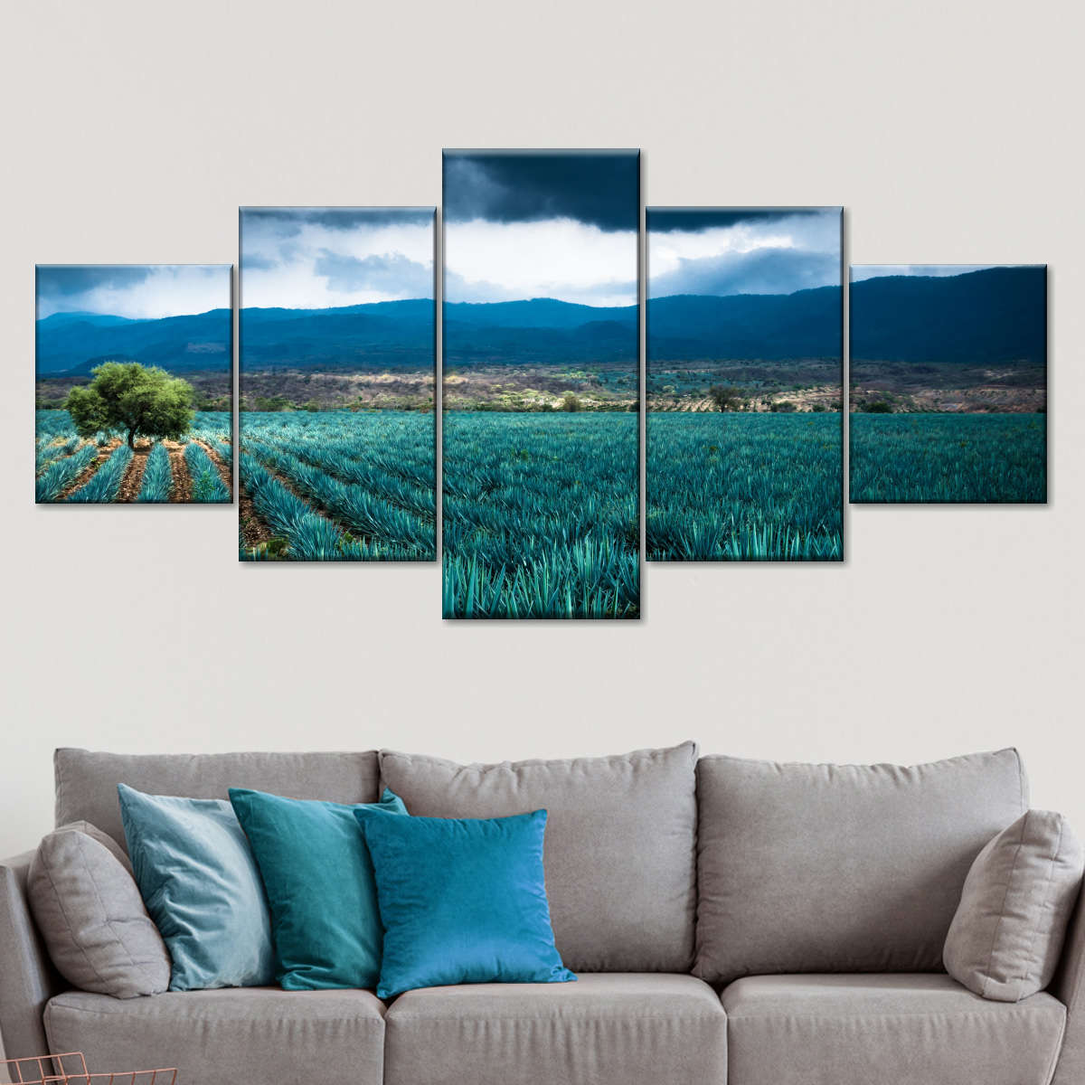 Agave Plantation At Morning Wall Art