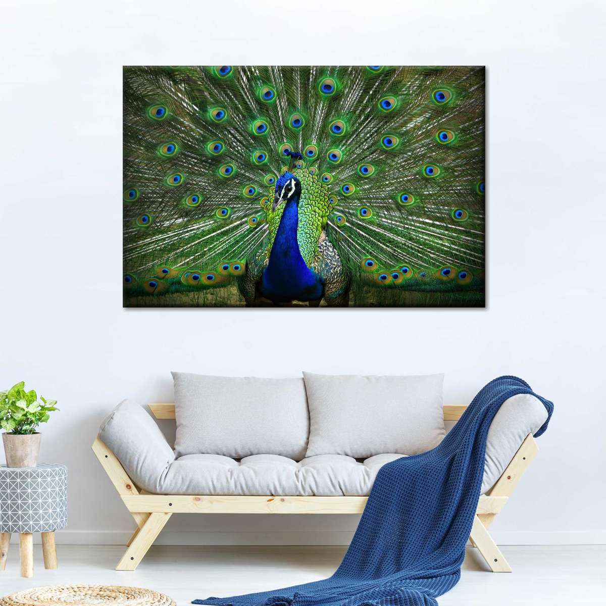 Peacock Feathers Wall Art