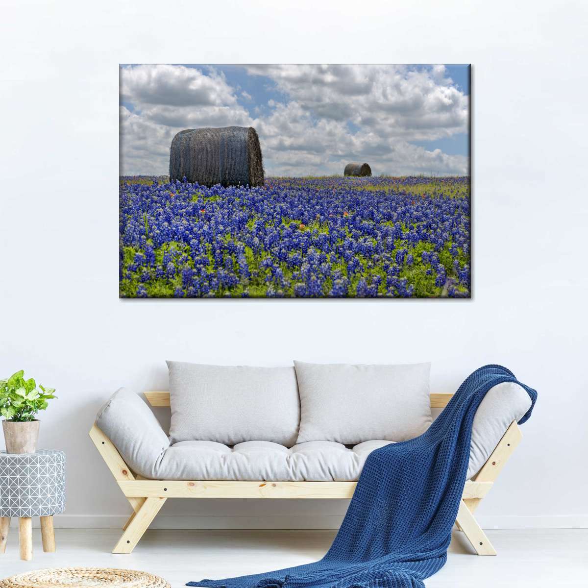 Texas Bluebonnets Wall Art