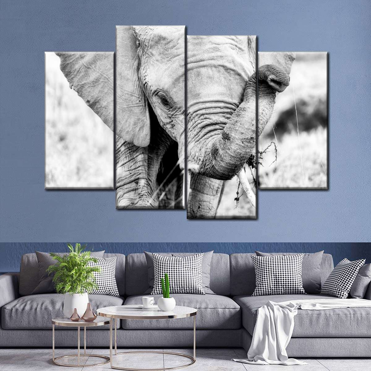 Kenyan Baby Elephant Wall Art