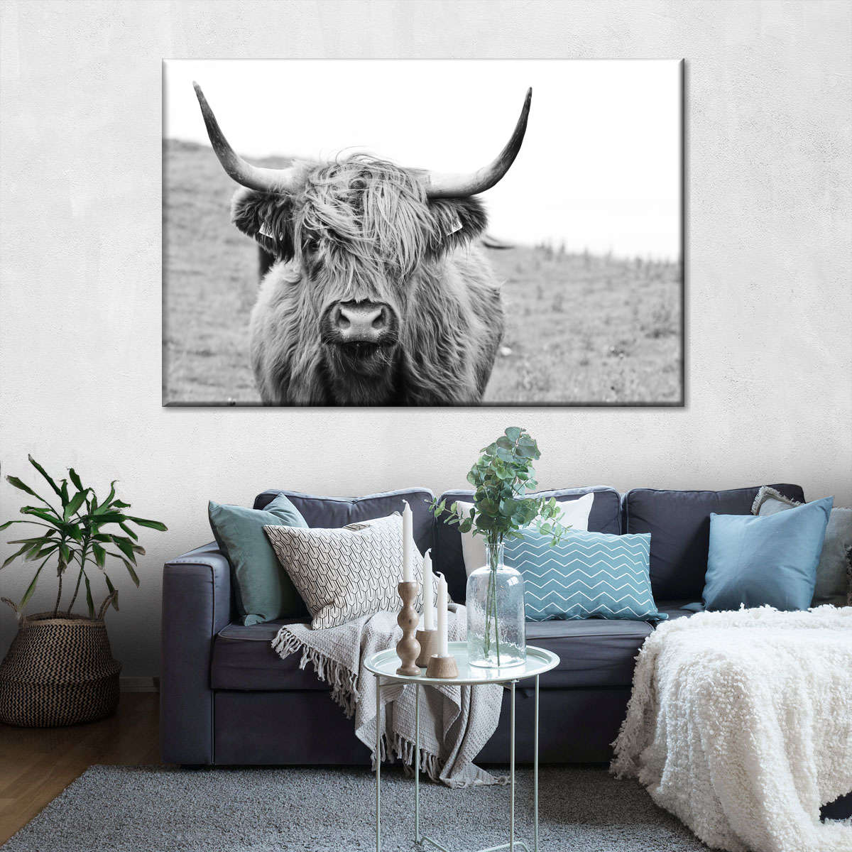 Solitary Highland Cow Wall Art