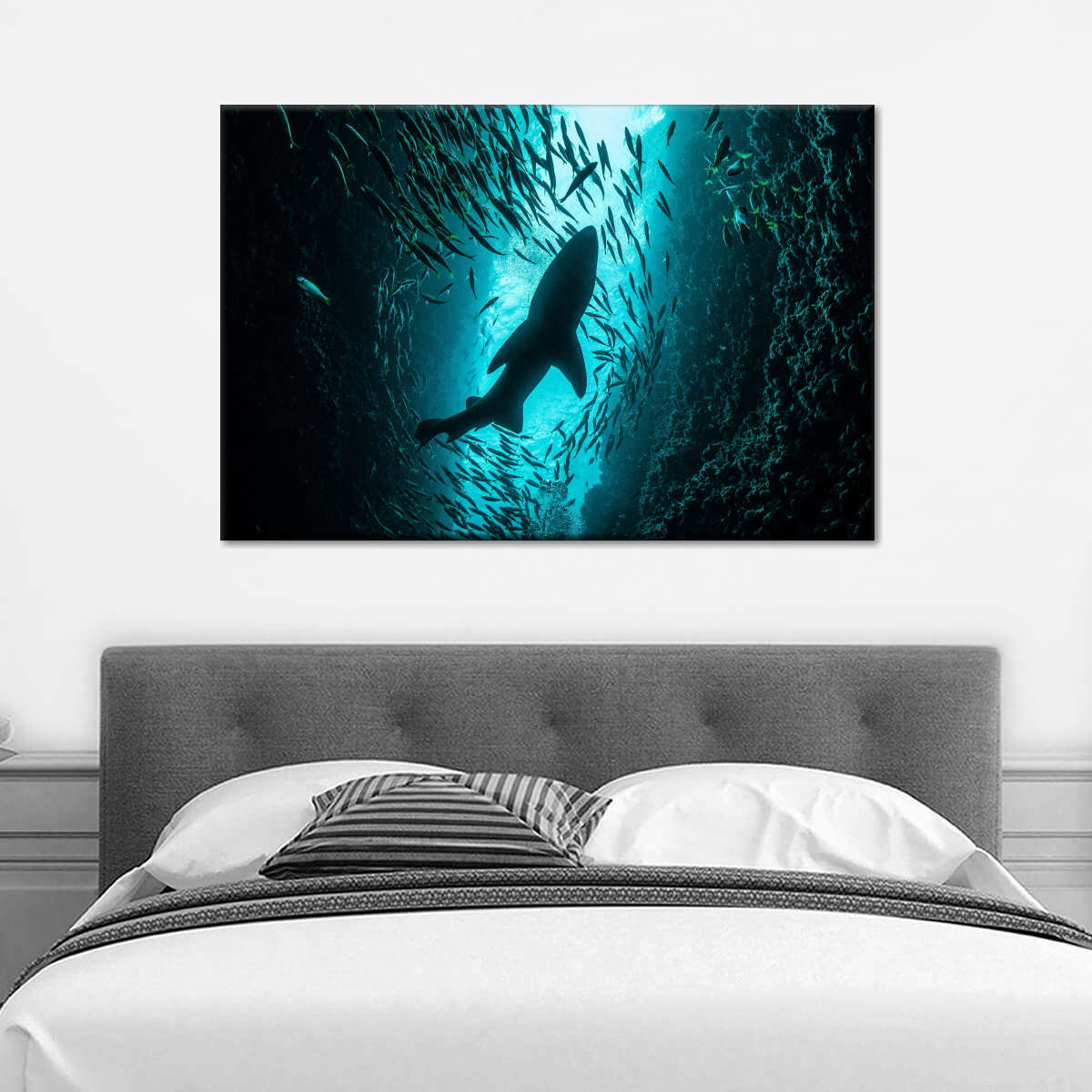 Shark Depth Wall Art