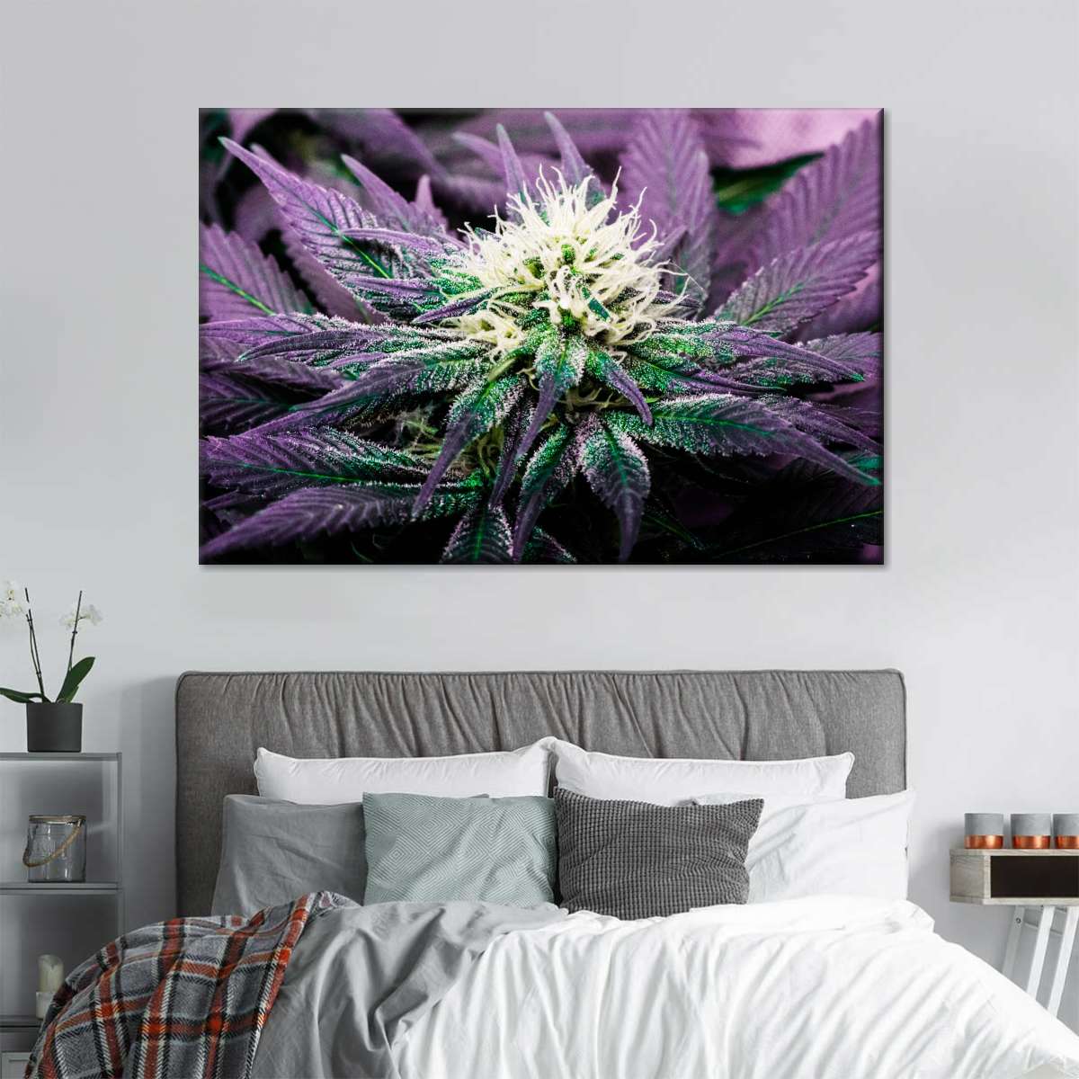 Rare Cannabis Plant Wall Art