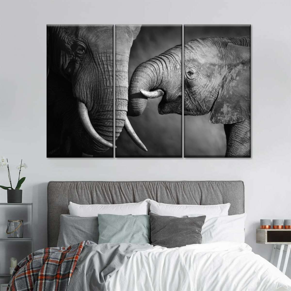 Elephant Affection Wall Art