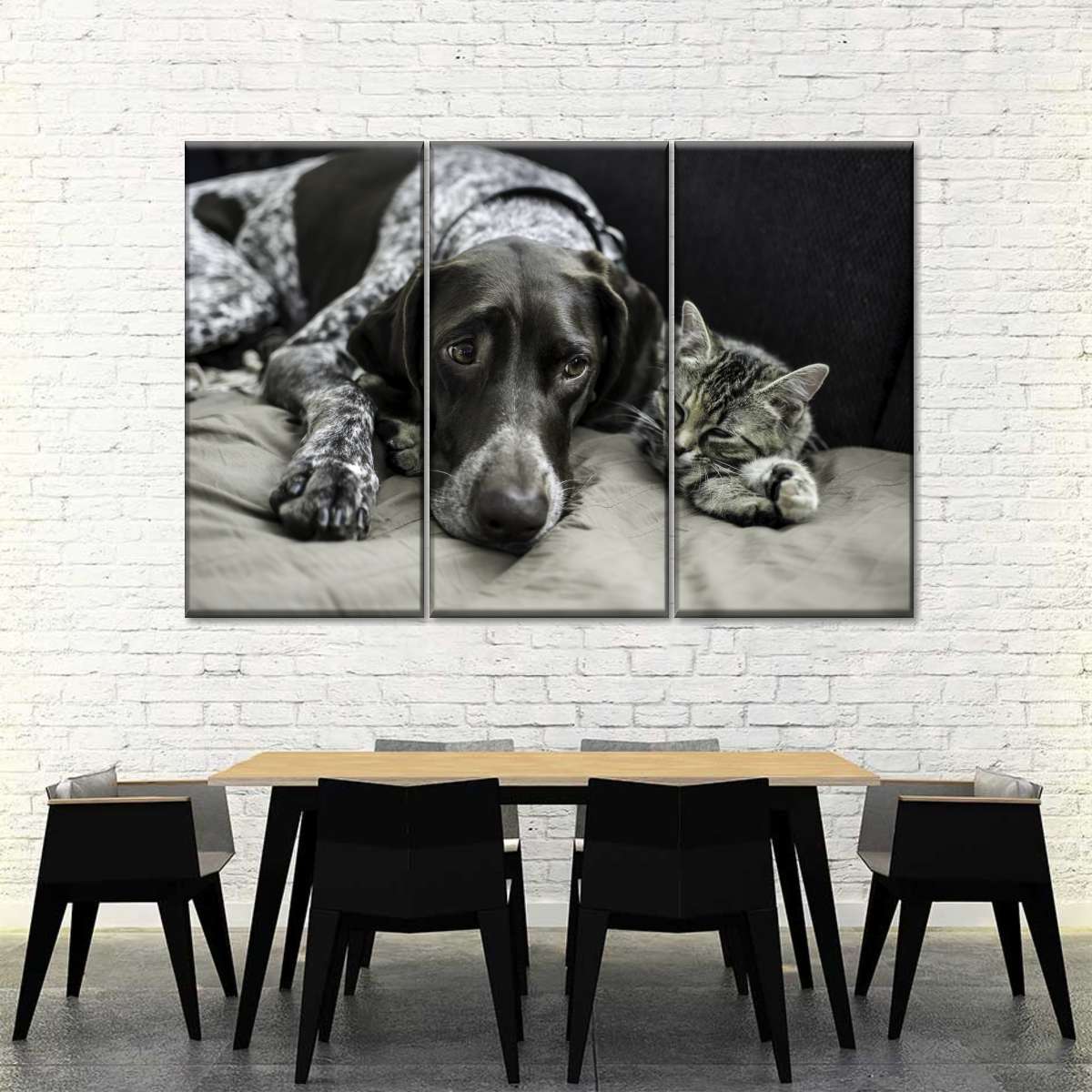 Dog And Cat Friends Wall Art