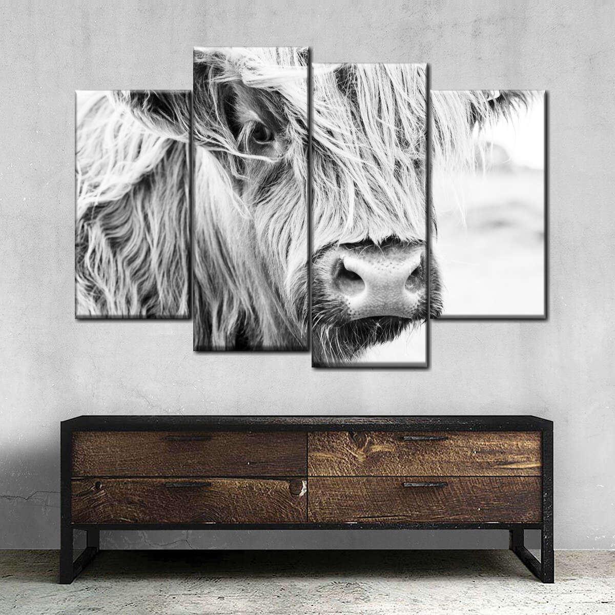 Long Haired Cow Wall Art