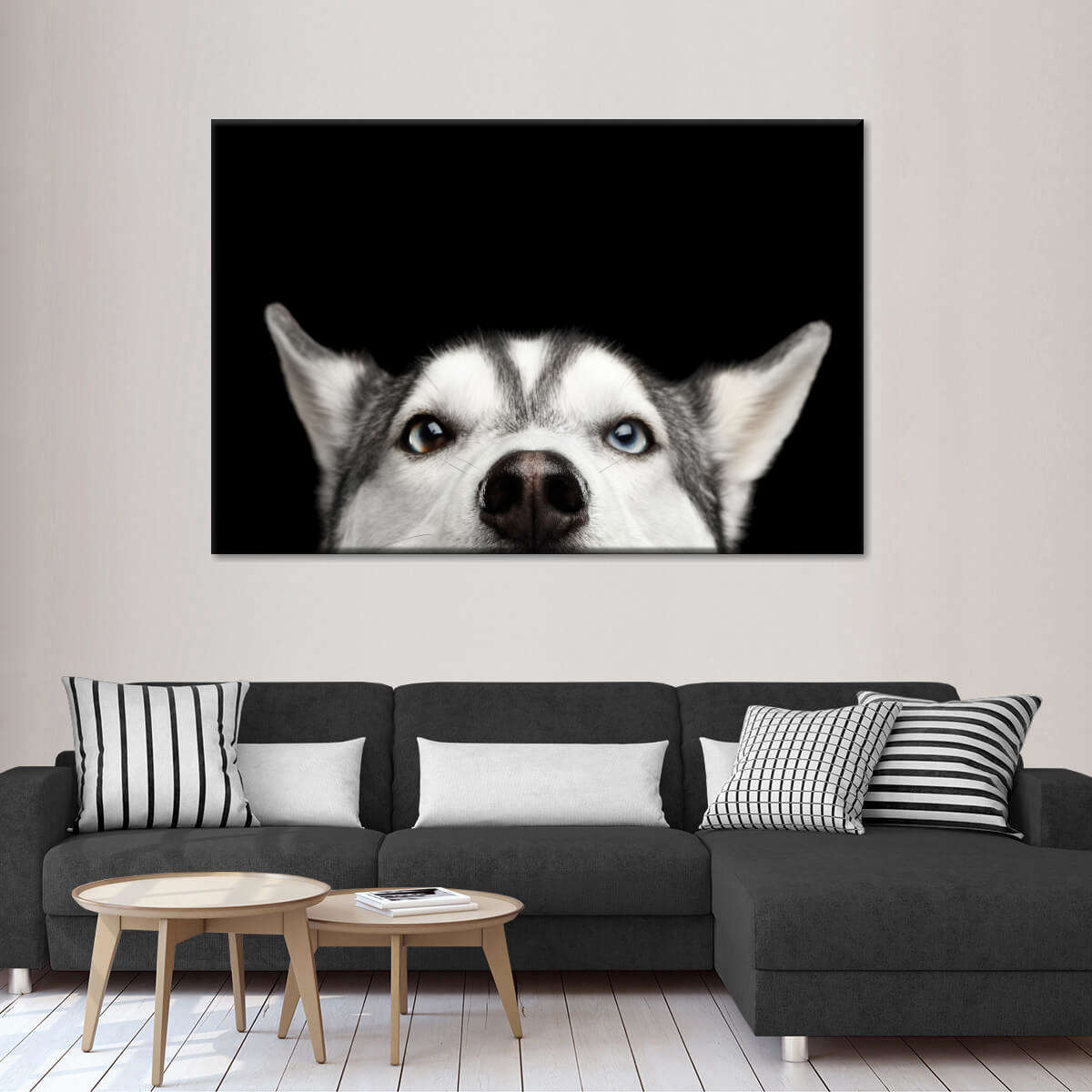 Peeking Siberian Husky Wall Art