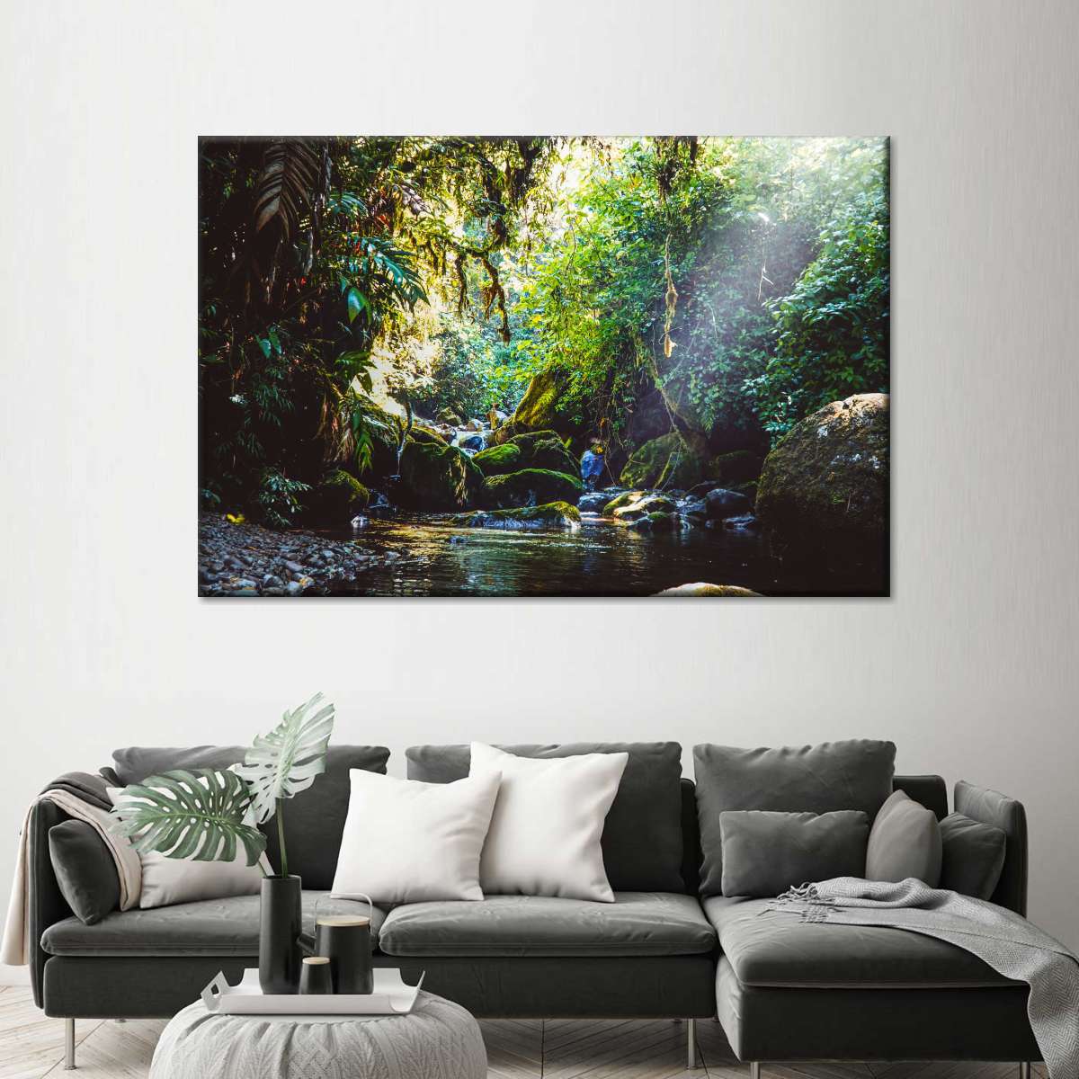 Forest In Panama Wall Art