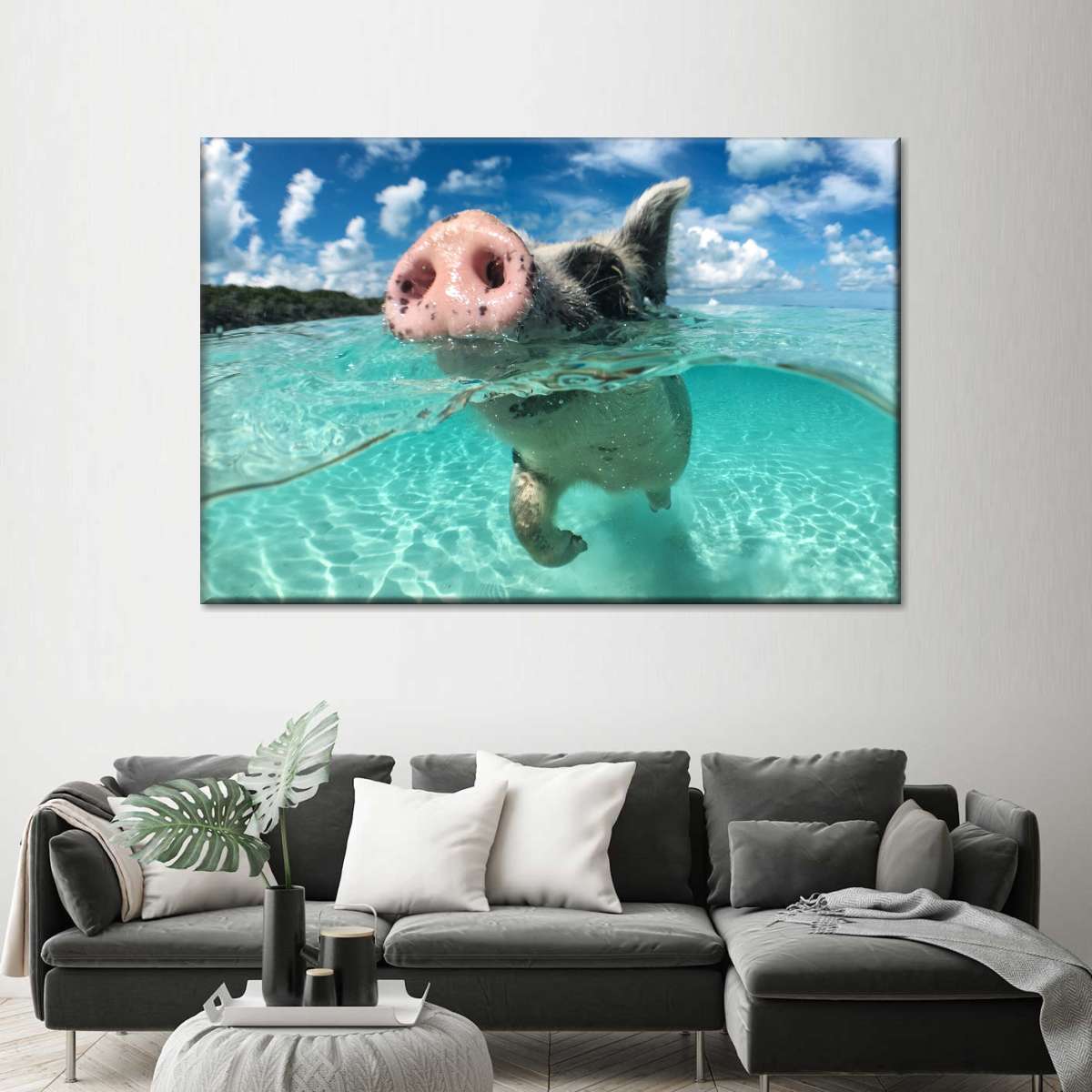 Swimming Pig Wall Art