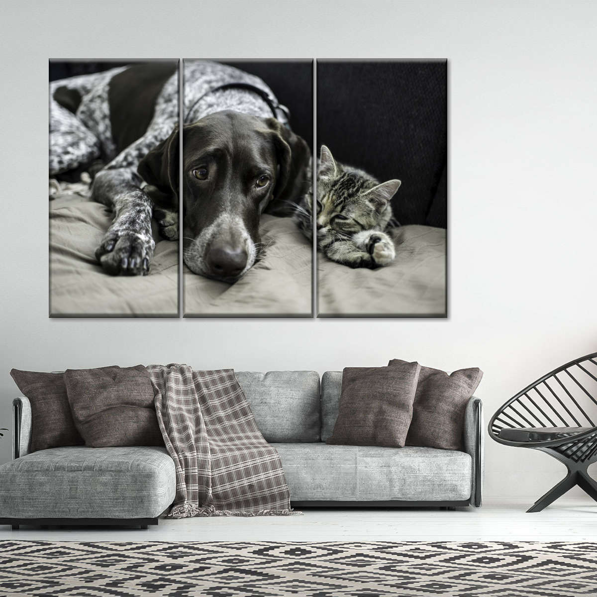 Dog And Cat Friends Wall Art