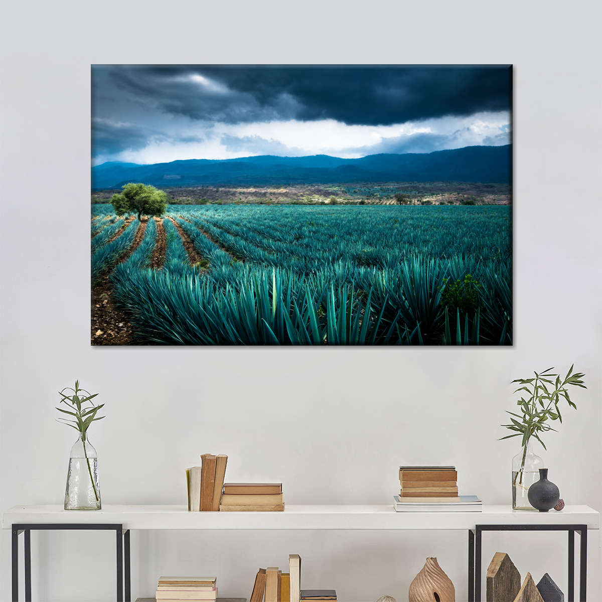 Agave Plantation At Morning Wall Art